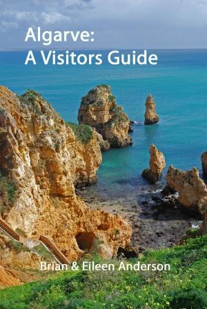 Cover of the book Algarve: A Visitors Guide by Lynne Martin