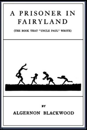 Book cover of A Prisoner in Fairyland