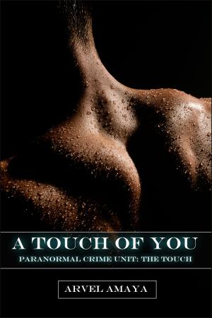 Book cover of A Touch of You - A Gay Paranormal Romance