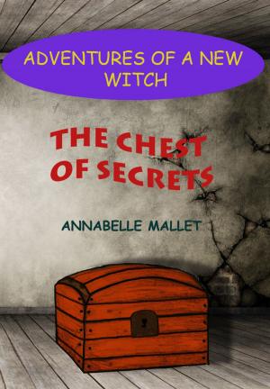 Book cover of Adventures of a New Witch Part 1: The Chest of Secrets