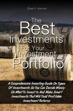 Cover of the book The Best Investments For Your Investment Portfolio by Ray P. Mitchell