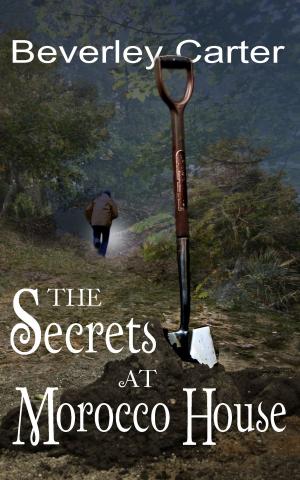Book cover of The Secrets at Morocco House
