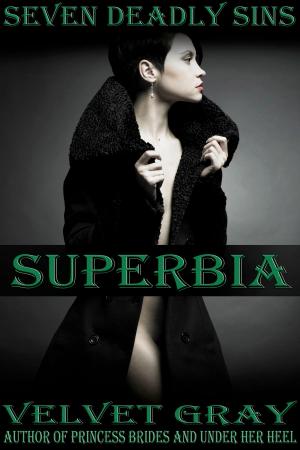 Book cover of Seven Deadly Sins: Superbia