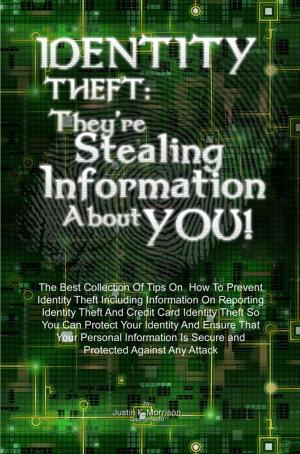 Book cover of Identity Theft: They’re Stealing Information About You!