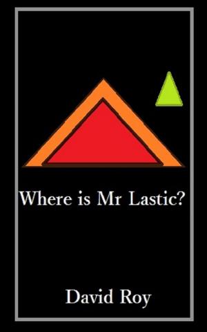 bigCover of the book Where is Mr Lastic? by 