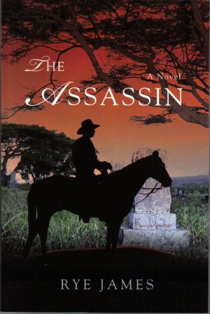 Book cover of The Assassin