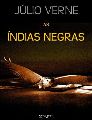Cover of the book As Índias Negras by António da Silva Pinto