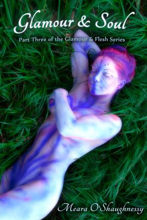 Cover of the book Glamour and Soul (erotic fantasy) by Yannick Grannec