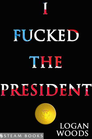 Cover of the book I Fucked the President by Melody Lewis, Steam Books