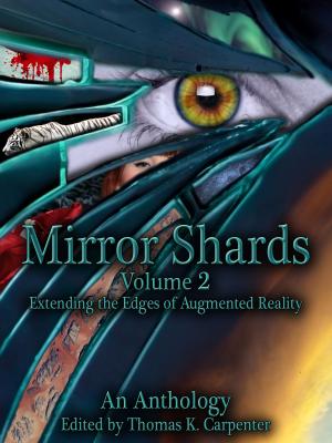 Cover of the book Mirror Shards: Volume Two by David Crawford