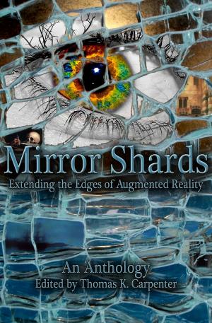 Book cover of Mirror Shards: Volume One
