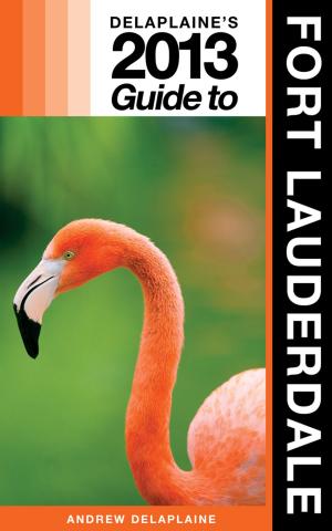 Book cover of Delaplaine's 2013 Guide to Fort Lauderdale