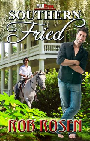 Cover of the book Southern Fried by Megan Slayer