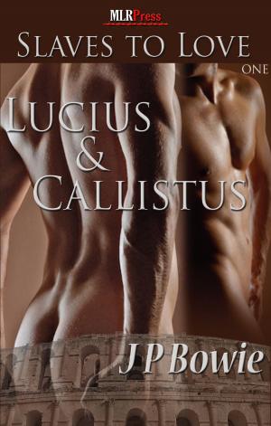 Cover of the book Lucius & Callistus by Stevie Woods