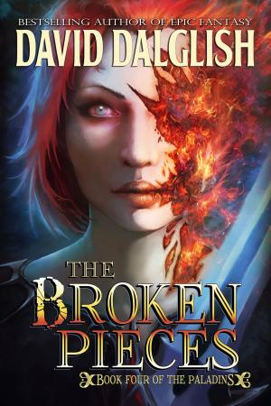 Book cover of The Broken Pieces