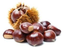 bigCover of the book How to Grow Chestnuts by 