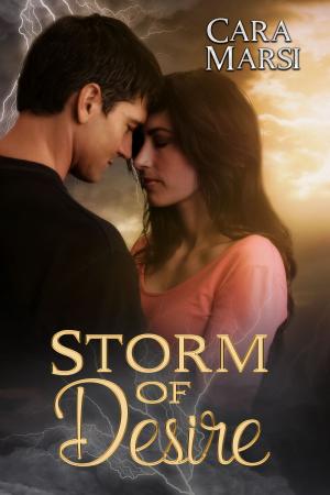 Cover of the book Storm of Desire by VR Thode
