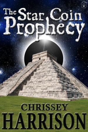 Cover of The Star Coin Prophecy