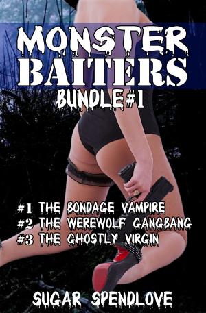 bigCover of the book Monster Baiters Bundle #1 by 