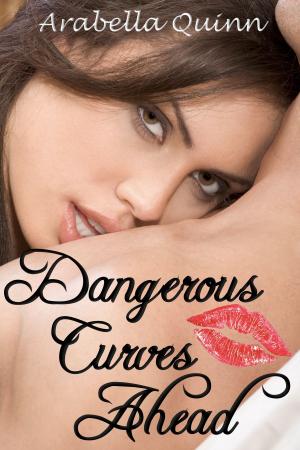 Cover of the book Dangerous Curves Ahead by Arabella Quinn
