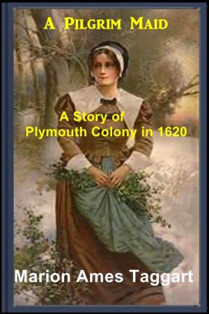 Cover of the book A Pilgrim Maid by KIM LAWRENCE
