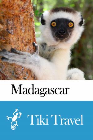 bigCover of the book Madagascar Travel Guide - Tiki Travel by 
