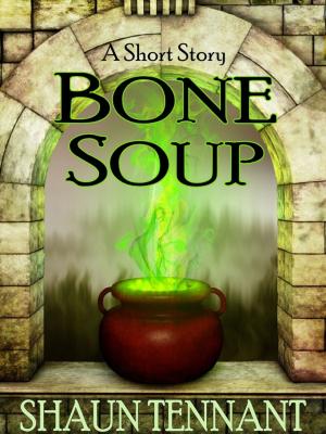Cover of the book Bone Soup by Dexter Morgenstern