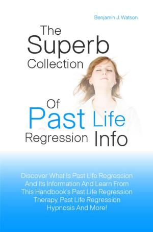 bigCover of the book The Superb Collection Of Past Life Regression Info by 
