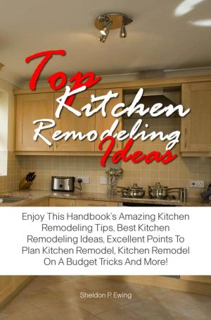 Book cover of Top Kitchen Remodeling Ideas