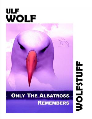 Book cover of Only The Albatross Remembers