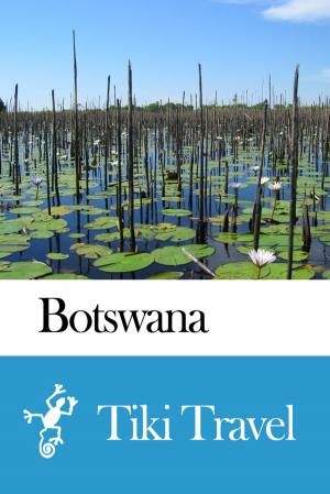 bigCover of the book Botswana Travel Guide - Tiki Travel by 