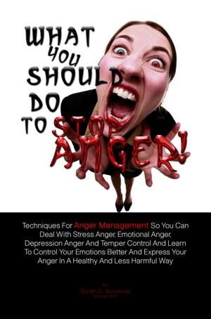 Cover of the book What You Should Do To Stop Anger! by Brian J. Holder
