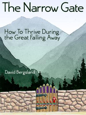 Cover of the book The Narrow Gate by David Bergsland