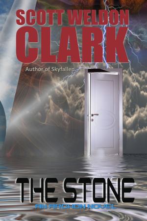 Cover of the book The Stone by Scott W. Clark