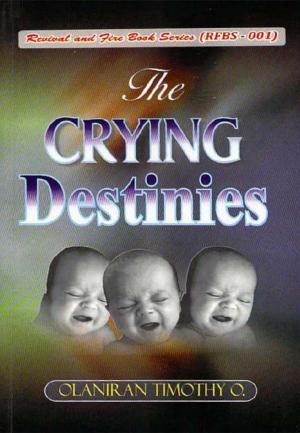 Cover of the book The Crying Destinies by Michael T Winstanley