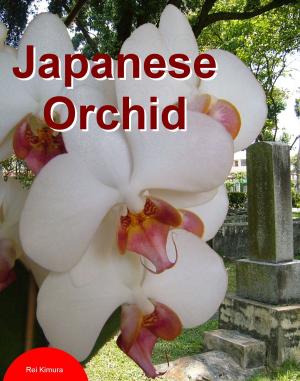 bigCover of the book Japanese Orchid by 
