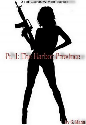 Cover of the book 21st Century Fox: Part I - The Harbor Province by Paul Féval (père)