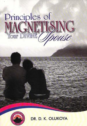Book cover of Principles of Magnetising Your Divine Spouse