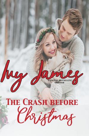 Cover of the book The Crash Before Christmas by Shelby Rebecca