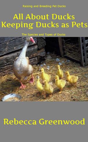 Cover of the book All About Ducks: Keeping Ducks as Pets by Marianne Burgess