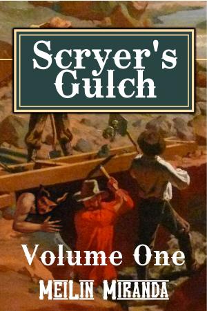 Book cover of Scryer's Gulch: Magic in the Wild, Wild West Vol 1
