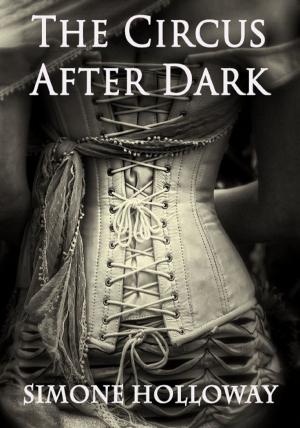 Book cover of The Circus After Dark
