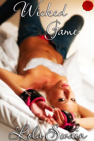 Cover of the book Wicked Game Erotic Suspense by Ava Ayers