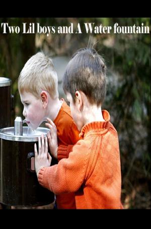 Book cover of Two Lil Boys and A Water Fountain