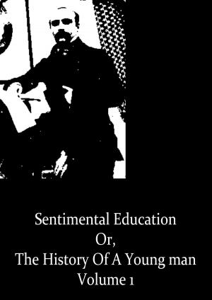 Cover of the book Sentimental Education Volume 1 by Nathaniel Hawthorne