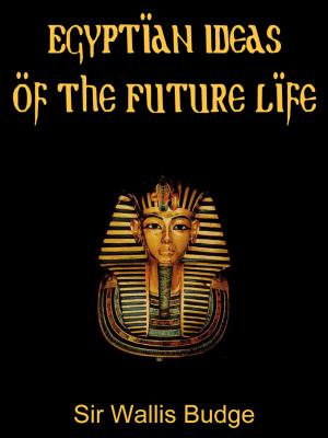 Cover of Egyptian Ideas Of The Future Life