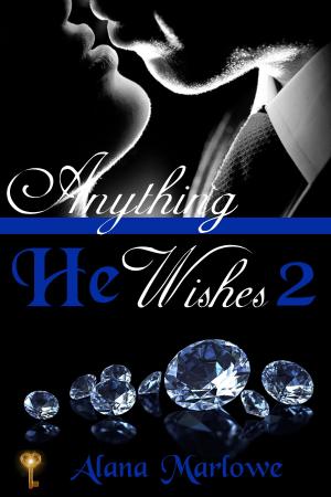 Book cover of Anything He Wishes 2