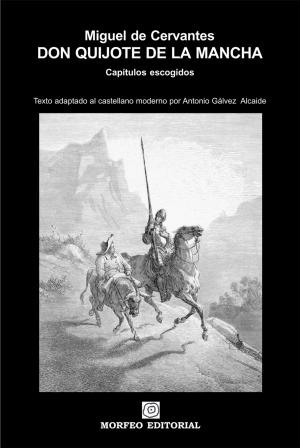 Cover of Don Quijote de la Mancha. Capítulos escogidos (texto adaptado al castellano moderno por Antonio Gálvez Alcaide)
