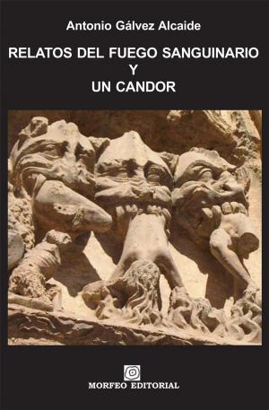 Cover of the book Relatos del fuego sanguinario y un candor by Catherine Carlson