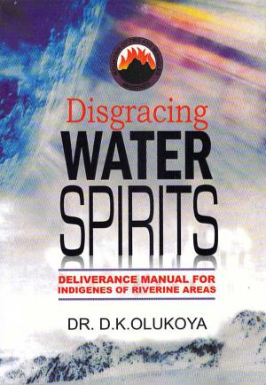 Cover of the book Disgracing Water Spirits by Os Hillman